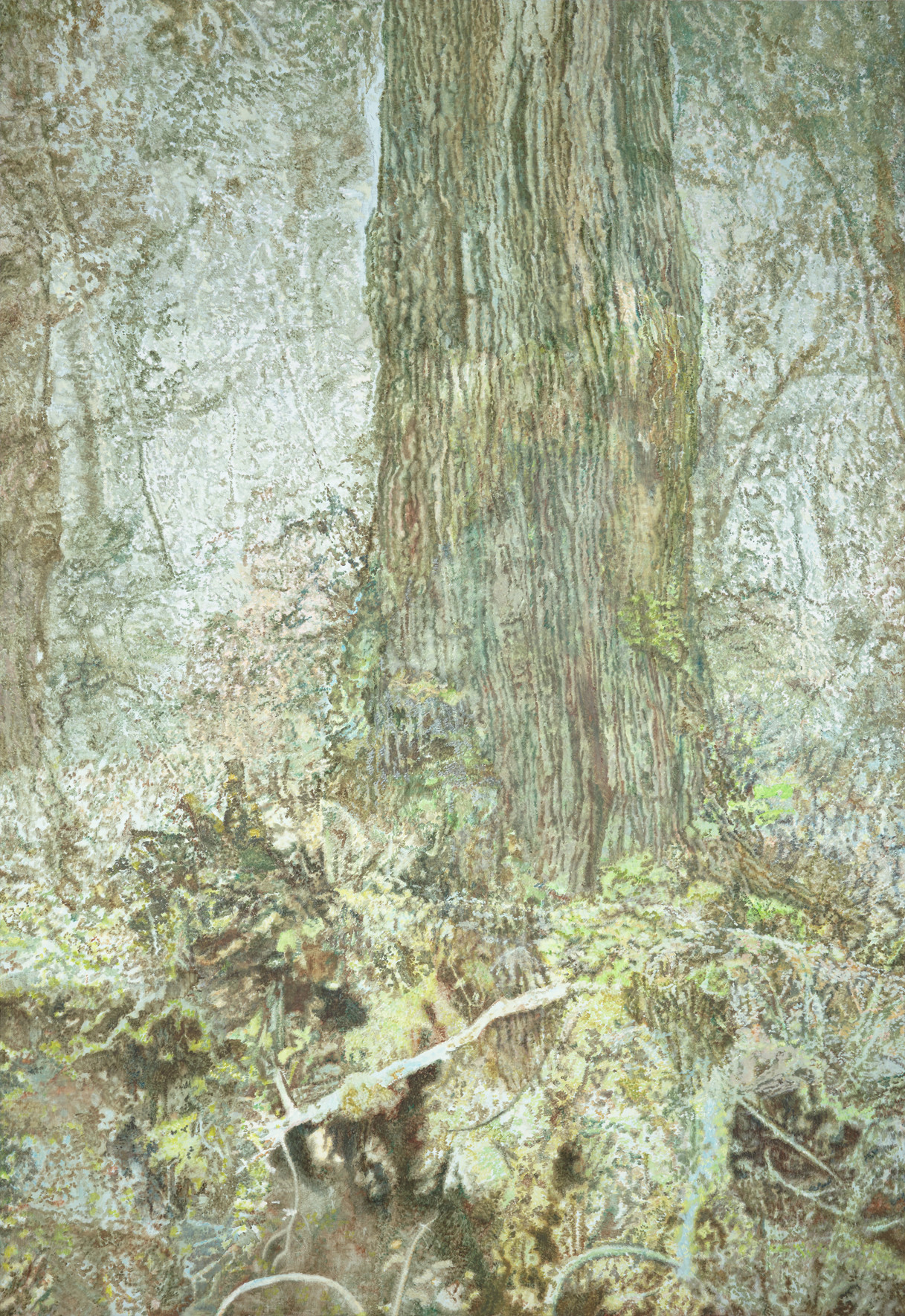 260213 Reproductie Uitsnede